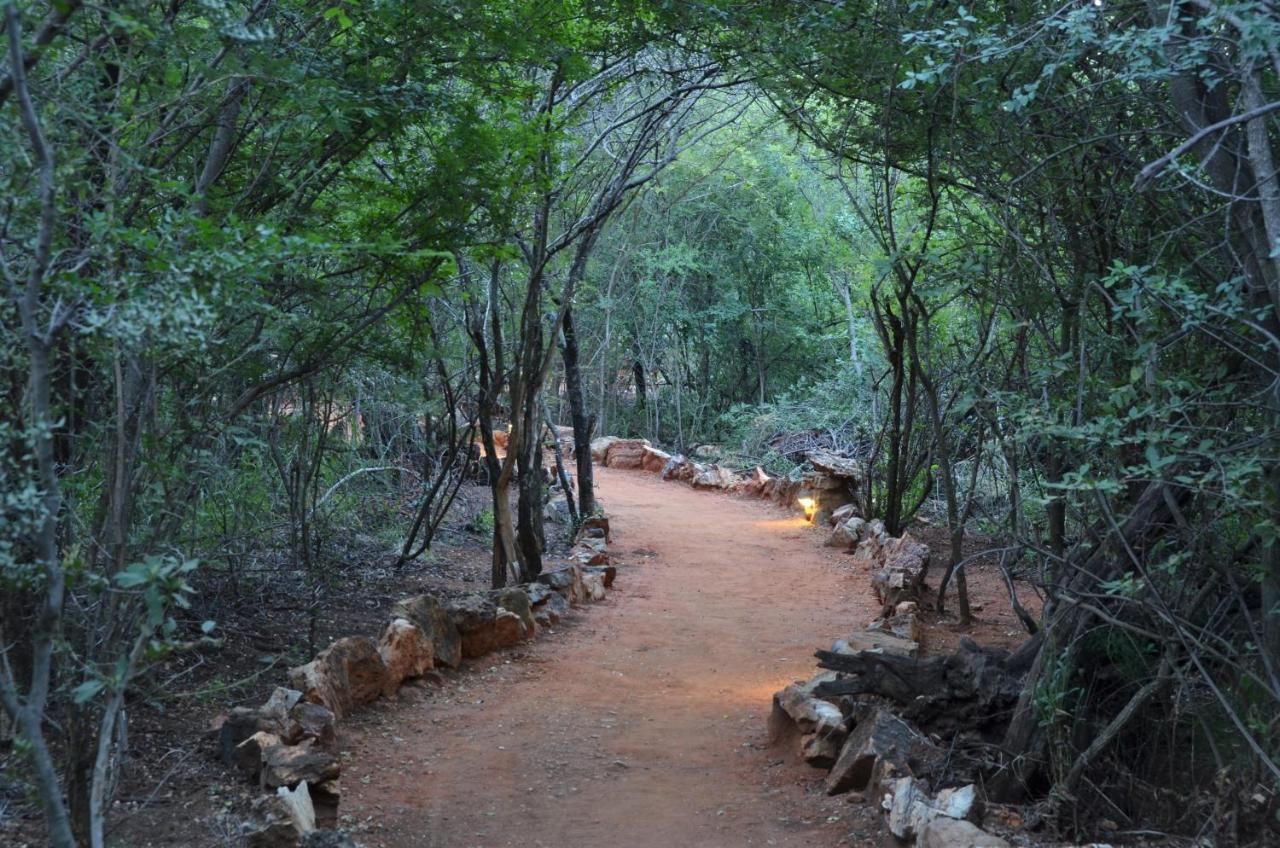 Motswiri Private Safari Lodge Madikwe Game Reserve Zewnętrze zdjęcie