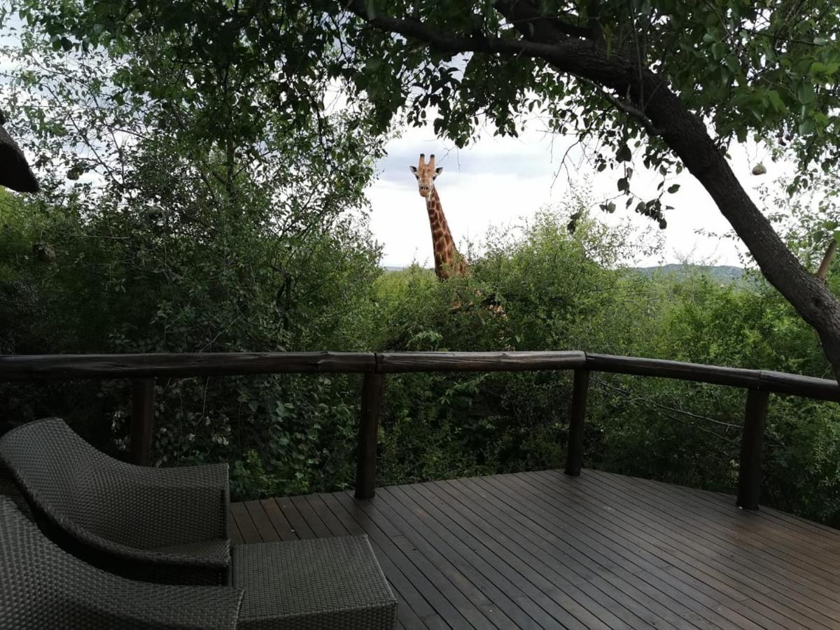Motswiri Private Safari Lodge Madikwe Game Reserve Zewnętrze zdjęcie