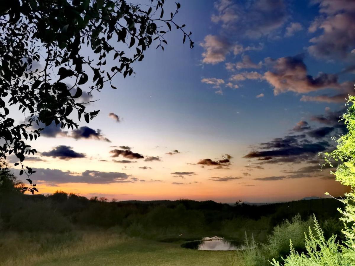 Motswiri Private Safari Lodge Madikwe Game Reserve Zewnętrze zdjęcie
